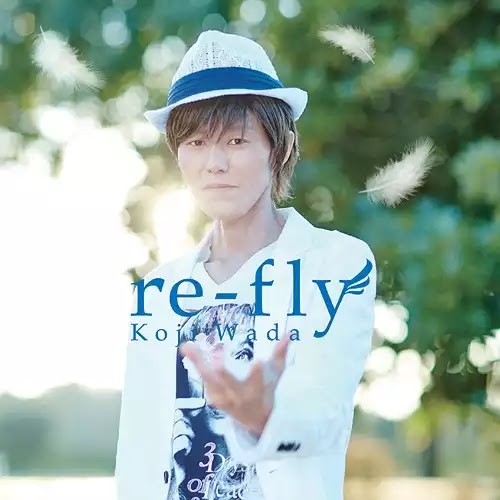 re-fly cover